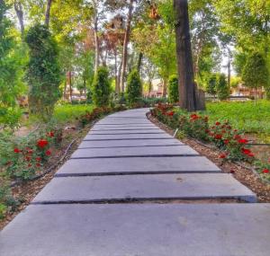 تصویر کوچک